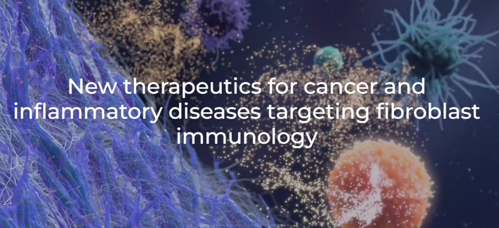 Mestag Therapeutics Partners with MSD for Inflammatory Disease Research