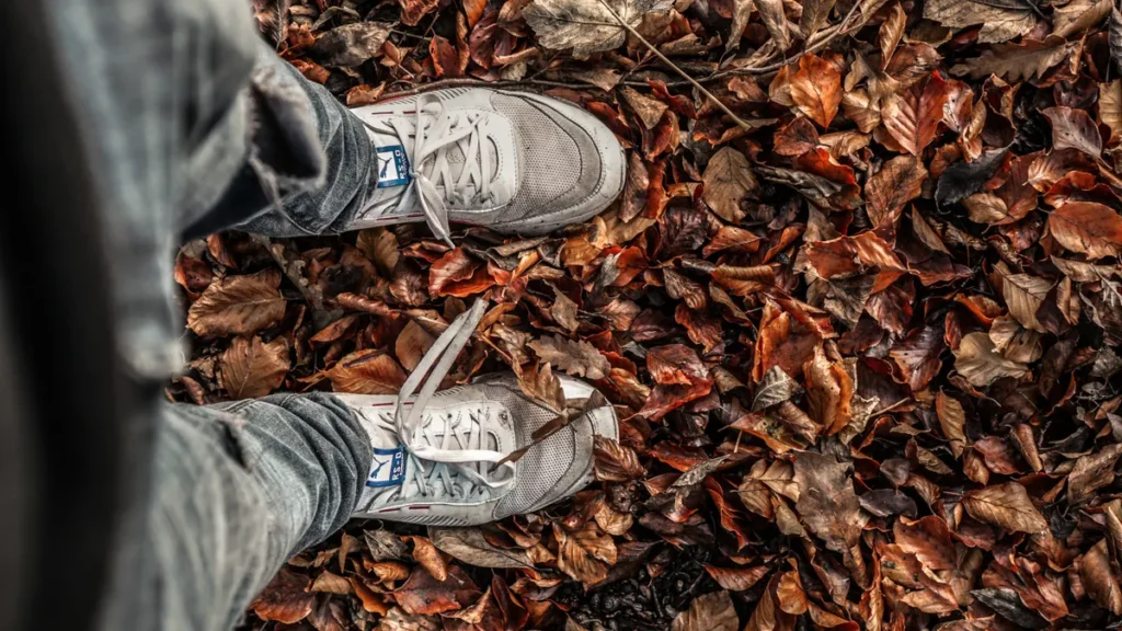 suede-trainers-for-autumn suede trainers for autumn