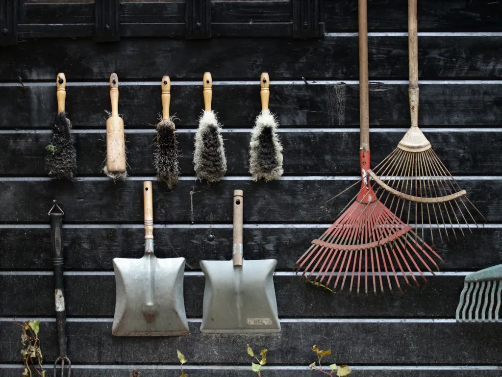 autumn wellbeing tips