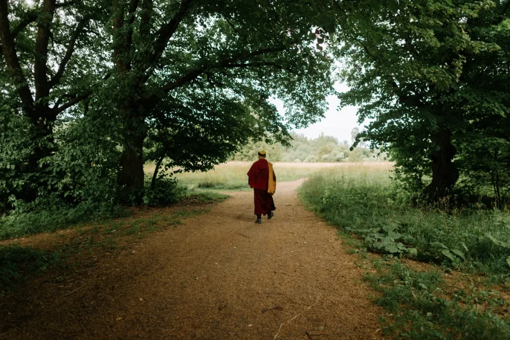 tai-chi-walking-benefits tai chi walking benefits